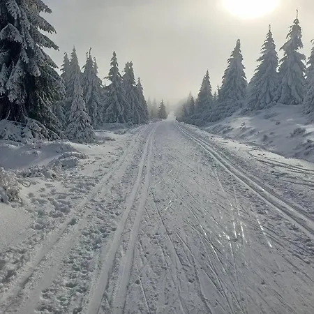 Julinka Apartamento *
